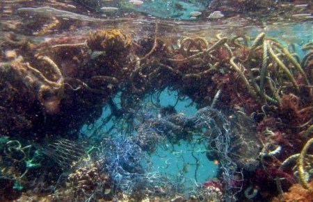 人类创造的“第八大陆”是什么?