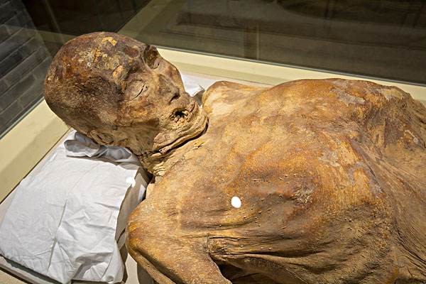 河南项城挖出的干尸究竟为何离奇失踪?