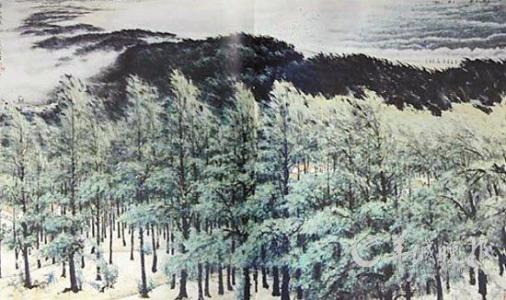 绿色长城是什么?