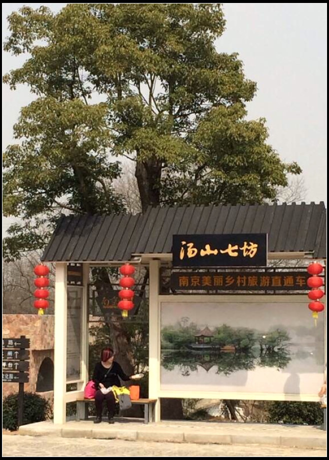 江宁乡村游的新五朵金花分别是哪些地方?