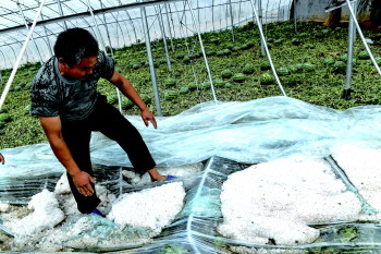 河北一市突降冰雹,冰雹天气是如何形成的?