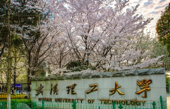 武汉理工大学排名2022最新排名