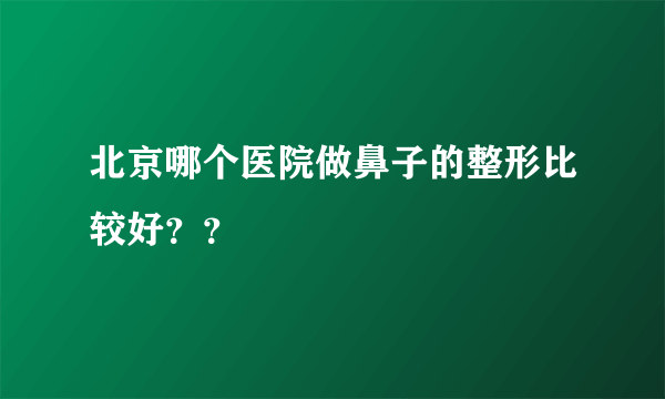 北京哪个医院做鼻子的整形比较好？？