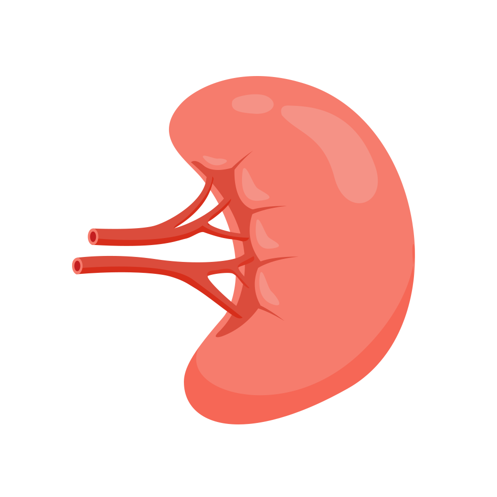 手脚冰冷怎么办?