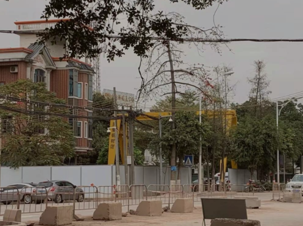 广州番禺化龙镇明经村发生一宗刑事案件，导致这起案件的起因是什么？