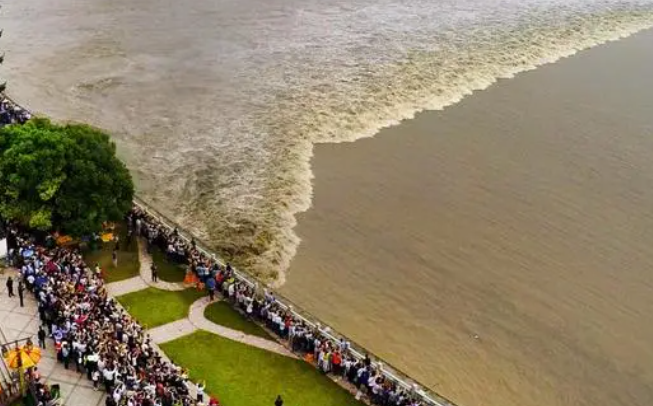 观潮是什么节日的风俗?