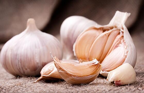 四川秋季种植什么蔬菜