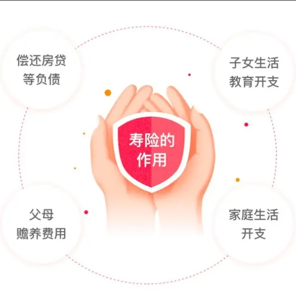 什么是定期寿险费率?费率是多少?