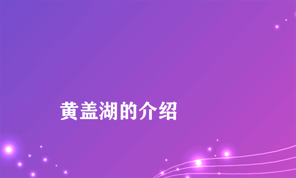 黄盖湖的介绍