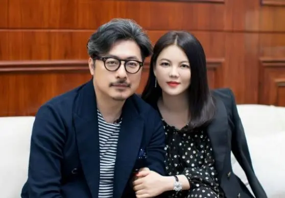 王岳伦与李湘名下26家企业被注销，这背后的原因是什么？