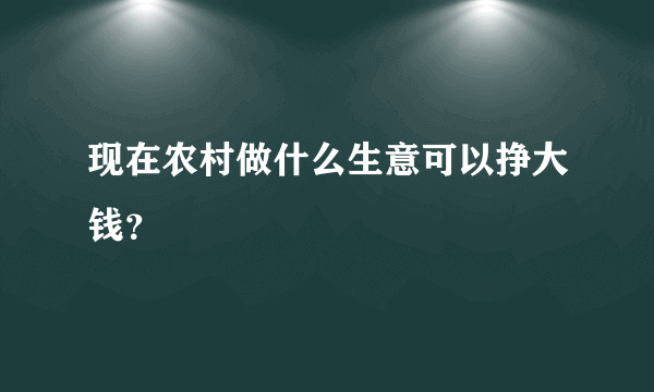 现在农村做什么生意可以挣大钱?