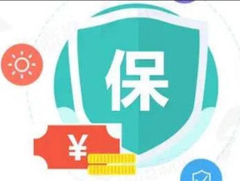 什么是定期寿险费率?费率是多少?