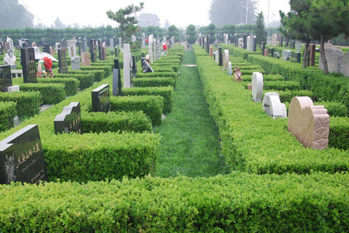 外媒报道，俄一墓地挖出5千万卢布巨款，到底是什么人埋到这里的？