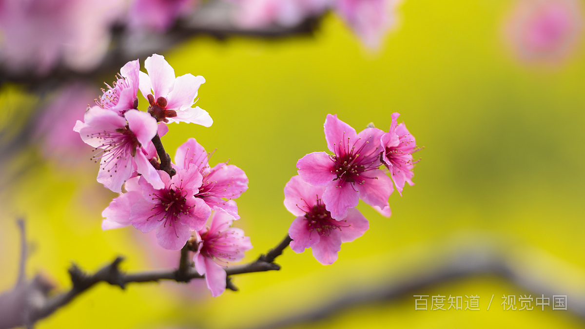 怎么祛斑效果最好,目前最有效的祛斑方法