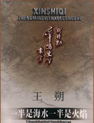 “一半是火焰，一半是海水”解释下这句话