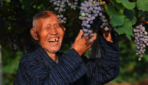 关于长寿的“密码”,你都知道哪些?