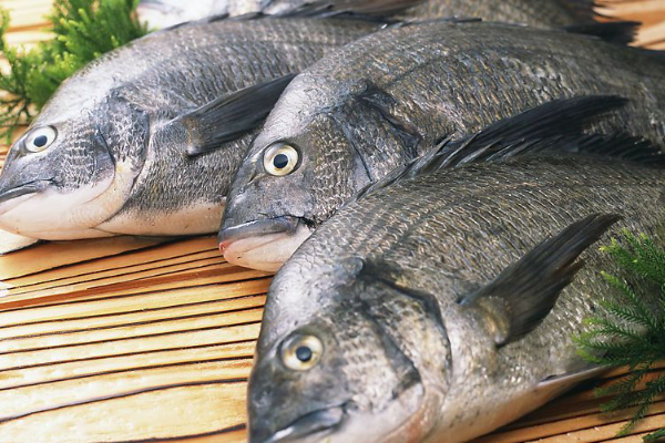 西安方欣水产市场营业到几点