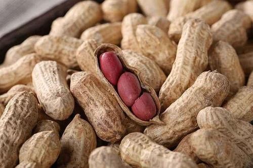 现在花生米多少钱一斤?