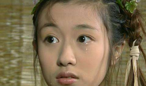 少年大钦差十公主不是皇上女儿吗?