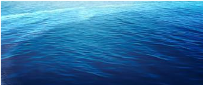 海底歌曲为什么被禁?