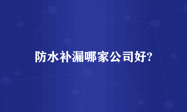防水补漏哪家公司好?