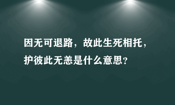 因无可退路，故此生死相托，护彼此无恙是什么意思？