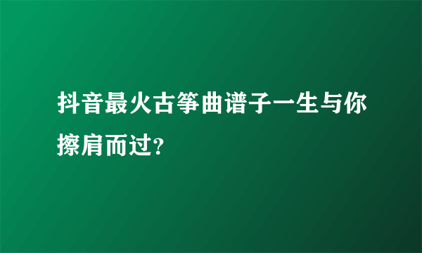 抖音最火古筝曲谱子一生与你擦肩而过？