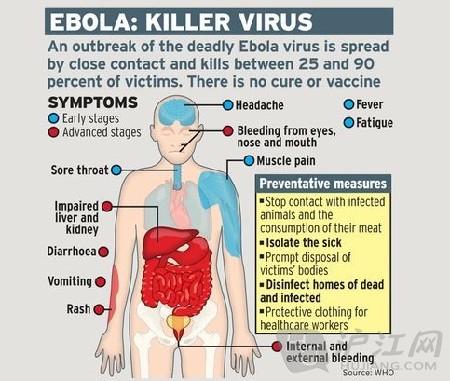 香港病毒的介绍