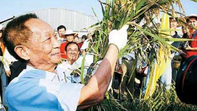 中国“杂交水稻之父”袁隆平一共有3个儿子，他们的近况如何？