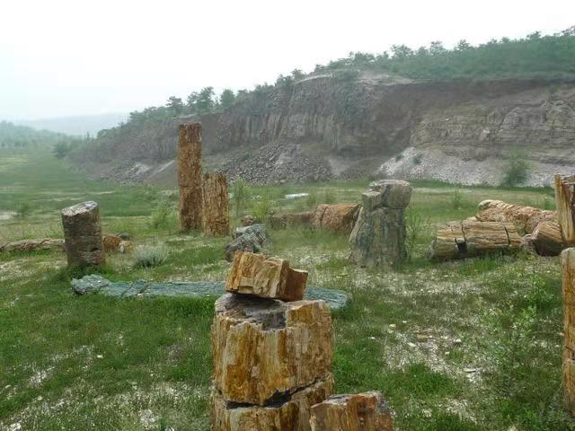 据说辽西化石一块能卖几万到几十万,但目前已大量流失到国外,遗憾吗?