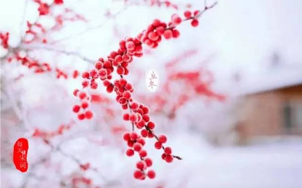 立春、立夏、立秋、立冬的日期是多少？