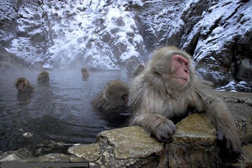 全球十大怪物是什么?