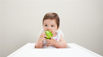 八个月的宝宝，如何进行早教？