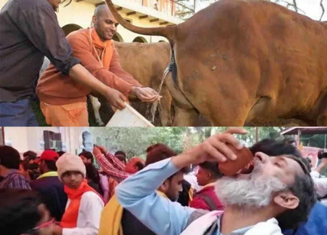 印度一男子在树上隔离11天，他是如何度过这11天的？