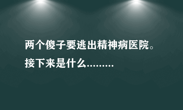 两个傻子要逃出精神病医院。接下来是什么......是搞笑的