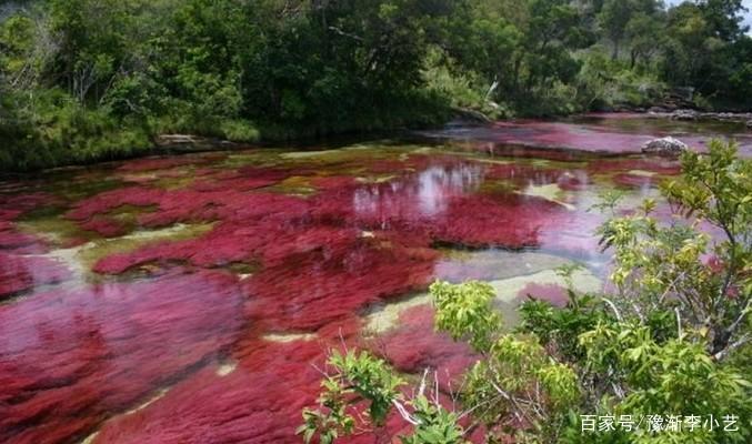 广西百色乐里河一夜变成血红色，这是什么原因造成的？
