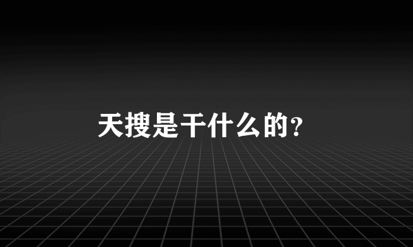 天搜是干什么的？