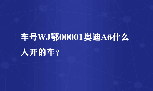 车号WJ鄂00001奥迪A6什么人开的车？