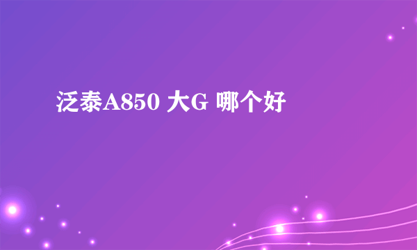 泛泰A850 大G 哪个好