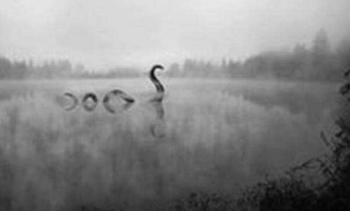 全球十大怪物是什么?