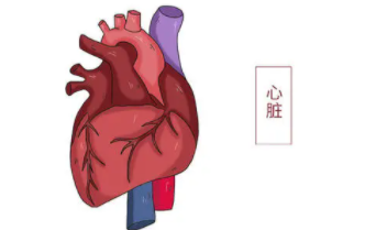 心肌缺血的情况，会有哪些危害呢？