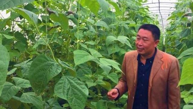 中国“杂交水稻之父”袁隆平一共有3个儿子，他们的近况如何？