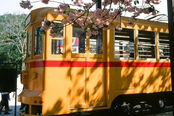 日本的贫富差距为什么让世界羡慕?