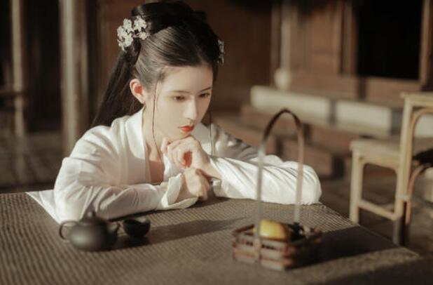 清平乐:赵祯为什么要贬官张茂则?