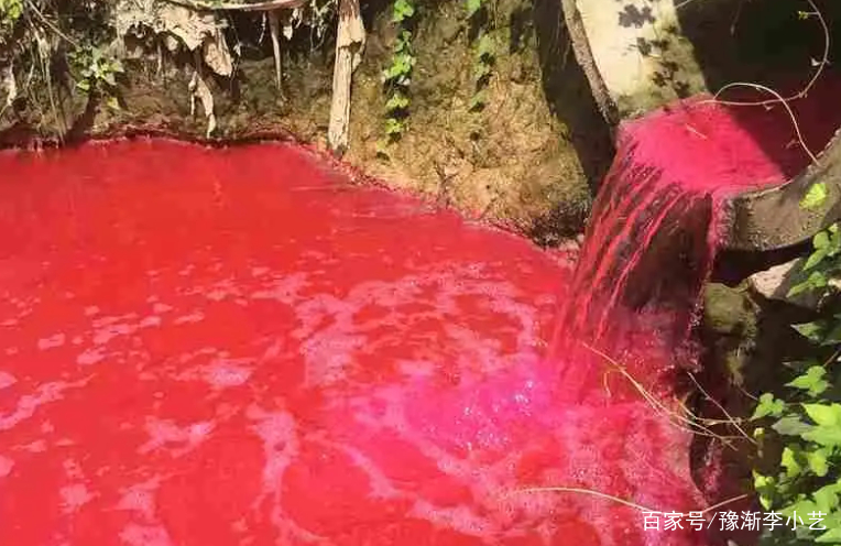 广西百色乐里河一夜变成血红色，这是什么原因造成的？