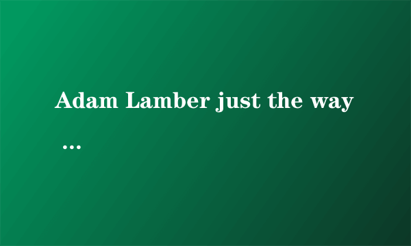 Adam Lamber just the way it is 歌词翻译
