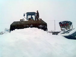 专家称东北多地大暴雪或引发雪灾,雪灾影响人们的生活了吗?