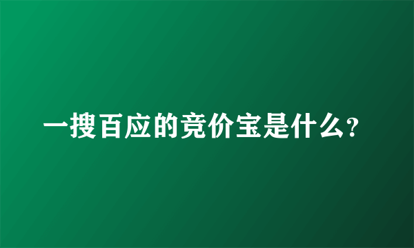 一搜百应的竞价宝是什么？