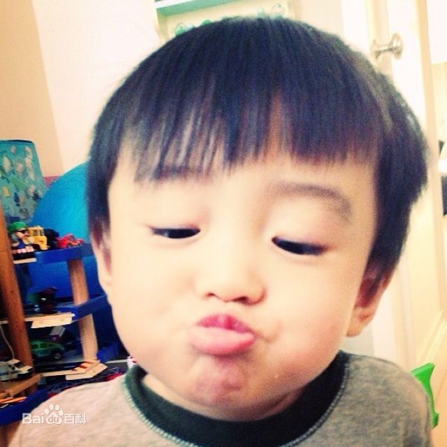 张柏芝有几个儿子，分别叫什么