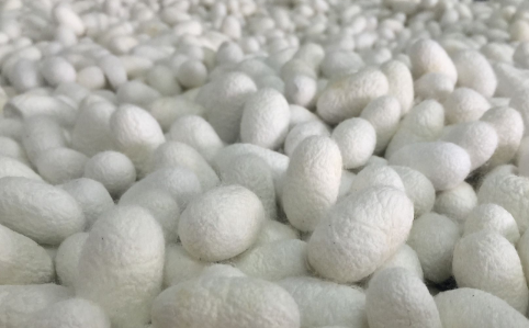 海安土特产有哪些?